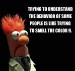 IMG_1165.jpeg