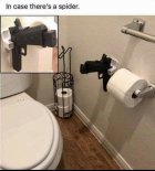 IMG_5668.jpeg