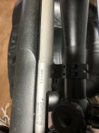IMG_2191.jpeg