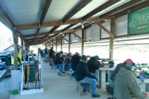 IMG_2444FiringLine.jpg IMG_2444FiringLine.jpg