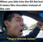 1710133496330.jpeg