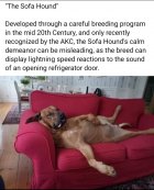 IMG_1129.jpeg