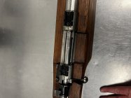 IMG_6174.jpeg