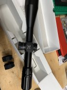 IMG_3919.jpeg