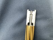 IMG_2684.jpeg