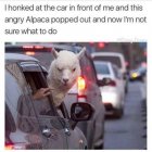 1710299103999.jpeg