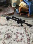 IMG_0275.jpeg