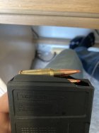 IMG_8437.jpeg