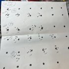 IMG_5548.jpeg