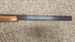 600-3.JPG