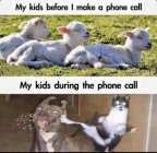 IMG_6053.jpeg
