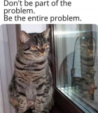 1710591728659.png
