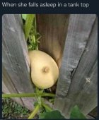 1710619841742.jpeg