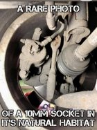 IMG_6126.jpeg