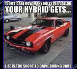 3941CF57-1624-456B-9F3F-D2C346A413CA.jpeg