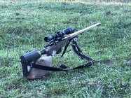 IMG_1305.jpeg