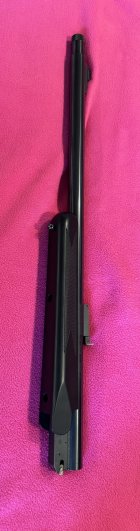 IMG_3469.jpeg