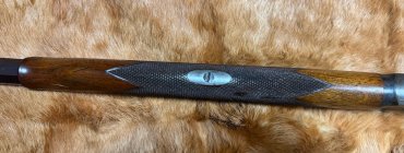 IMG_6777.jpeg