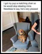 1710792793023.png