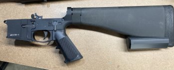 IMG_1384.jpeg