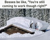IMG_6209.jpeg