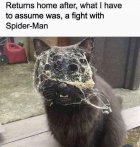 IMG_6214.jpeg