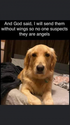 1710852362738.png
