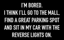 reverse lights.jpg