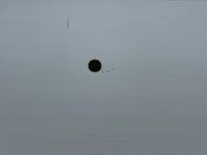 IMG_0477.jpeg