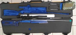 Finished-Bolt-Gun-.jpg