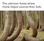 IMG_1262.jpeg