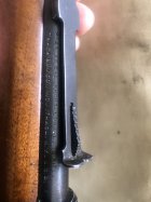 IMG_6411.jpeg