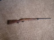 Cooper-21-17Javelina-2.jpg
