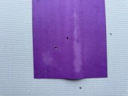 IMG_0485.jpeg