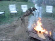 1710967140566.gif