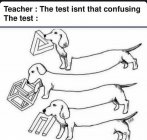 IMG_6333.jpeg