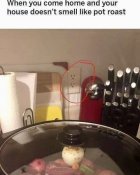 IMG_6347.jpeg