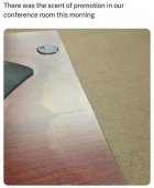 1711036869912.jpeg