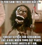IMG_6367.jpeg