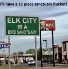 Sanctuary Bucket.jpeg