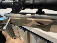 IMG_2044.jpeg