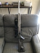 IMG_8184.jpeg