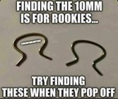 IMG_3056.jpeg