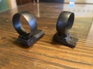 IMG_2533.jpeg