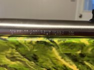 IMG_0537.jpeg