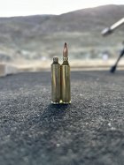 IMG_7181.jpeg