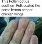 IMG_6476.jpeg