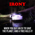 1711187781687.png