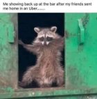 1711214146561.jpeg