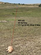 IMG_3484.jpeg